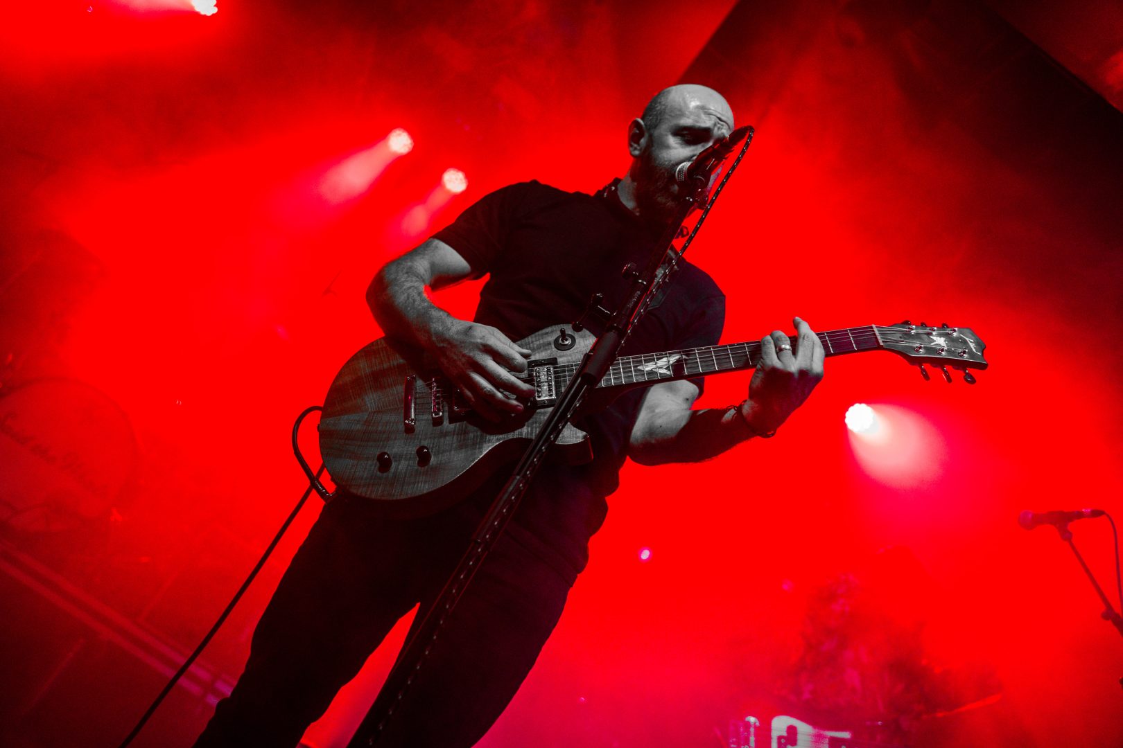 SaidtheWhale1